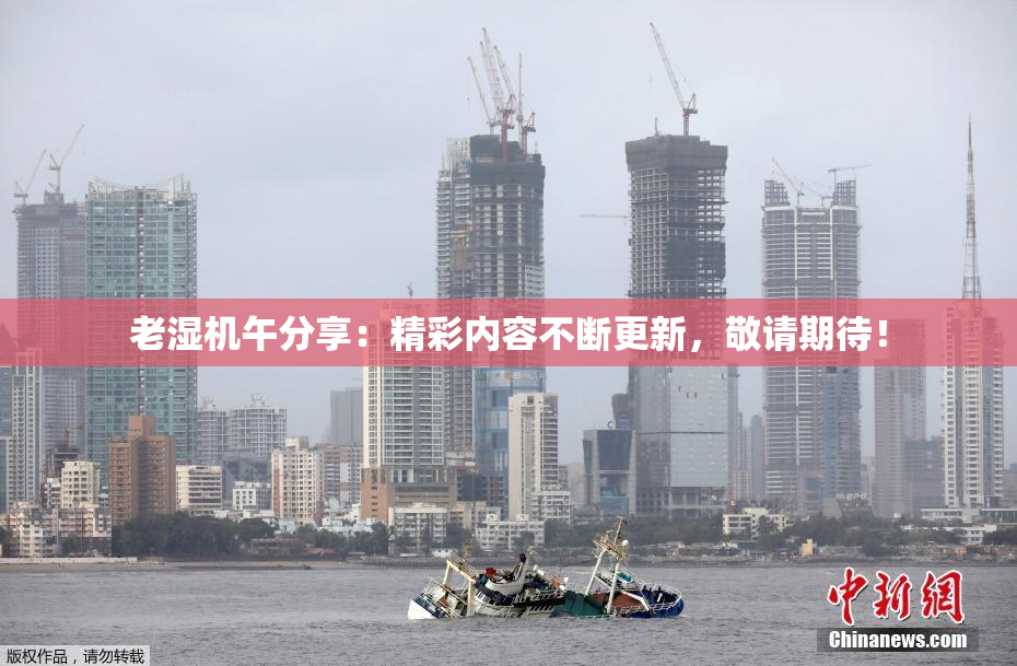 老湿机午分享：精彩内容不断更新，敬请期待！