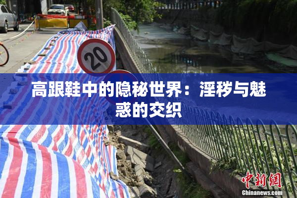 高跟鞋中的隐秘世界：淫秽与魅惑的交织
