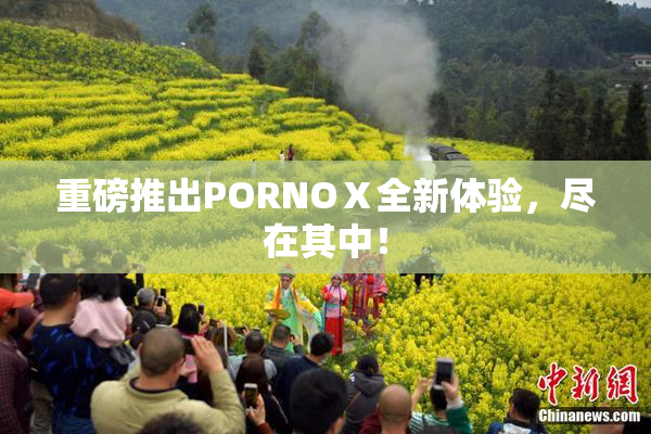 重磅推出PORNOⅩ全新体验，尽在其中！