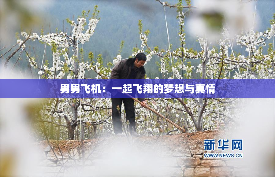 男男飞机：一起飞翔的梦想与真情