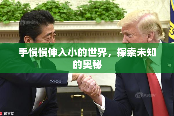 手慢慢伸入小的世界，探索未知的奥秘