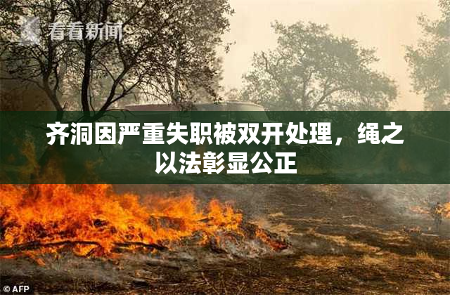 齐洞因严重失职被双开处理，绳之以法彰显公正