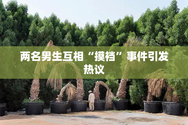 两名男生互相“摸裆”事件引发热议