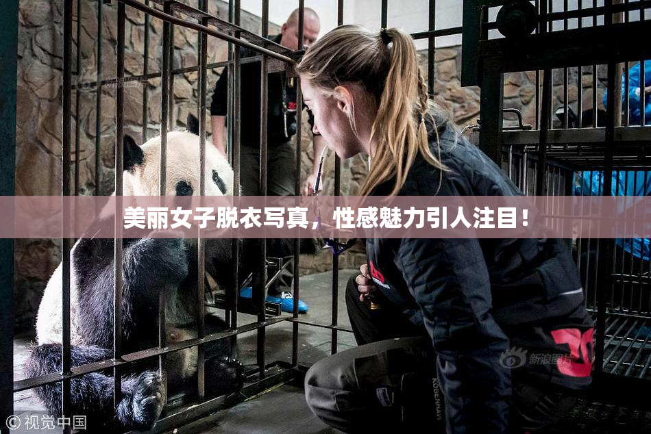 美丽女子脱衣写真，性感魅力引人注目！