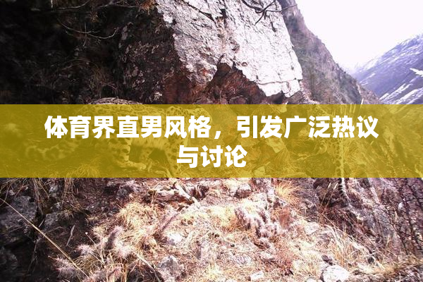 体育界直男风格，引发广泛热议与讨论