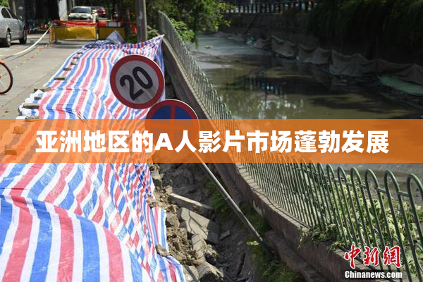 亚洲地区的A人影片市场蓬勃发展