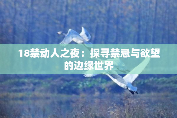 18禁动人之夜：探寻禁忌与欲望的边缘世界