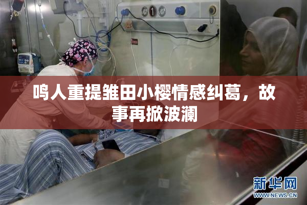 鸣人重提雏田小樱情感纠葛，故事再掀波澜