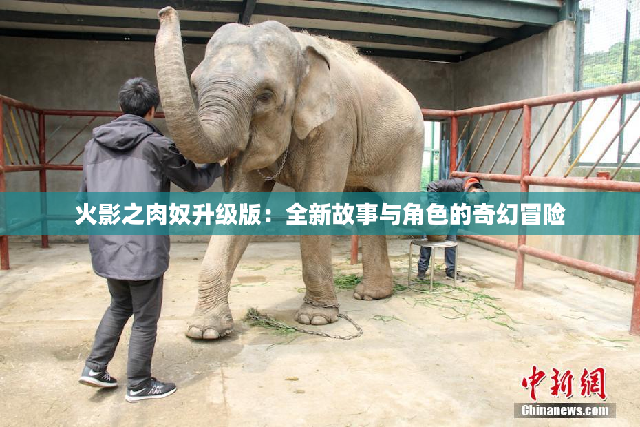 火影之肉奴升级版：全新故事与角色的奇幻冒险