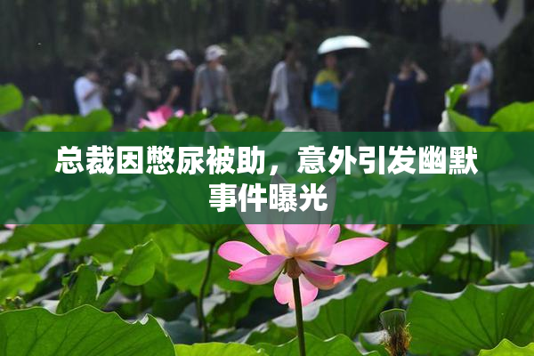 总裁因憋尿被助，意外引发幽默事件曝光
