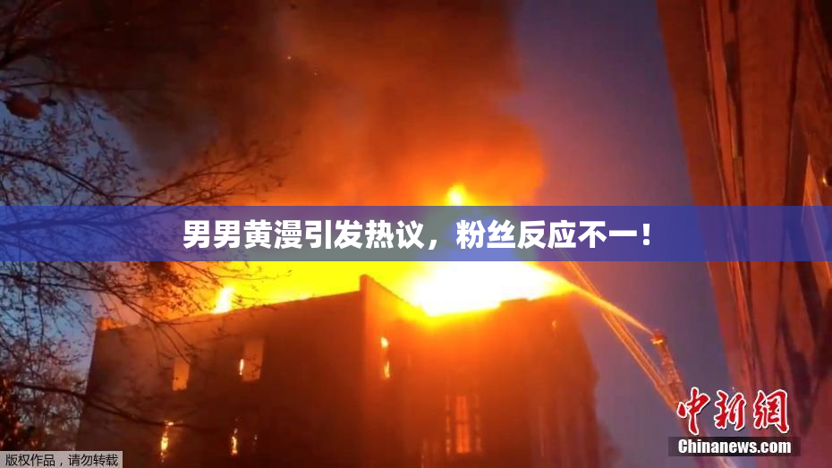 男男黄漫引发热议，粉丝反应不一！
