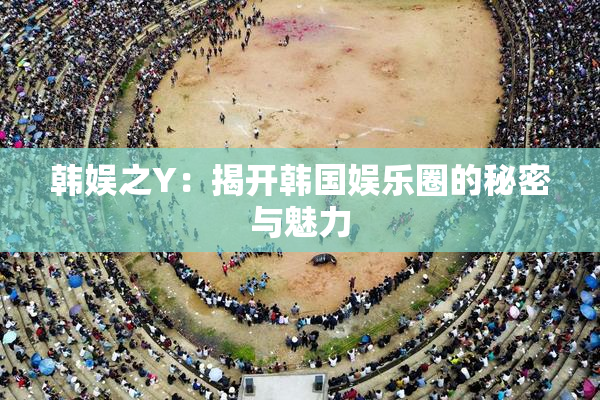 韩娱之Y：揭开韩国娱乐圈的秘密与魅力