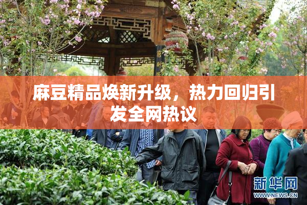 麻豆精品焕新升级，热力回归引发全网热议