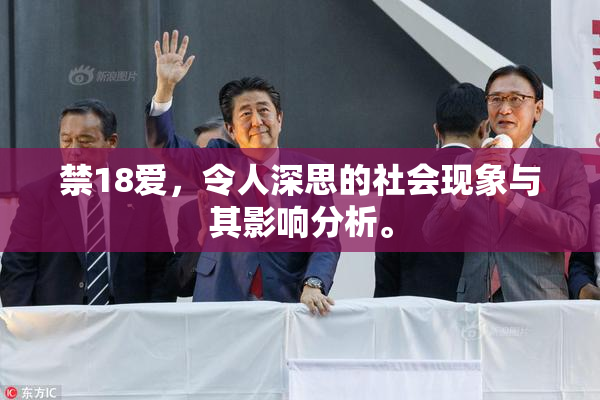 禁18爱，令人深思的社会现象与其影响分析。