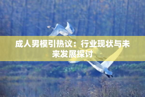 成人男模引热议：行业现状与未来发展探讨