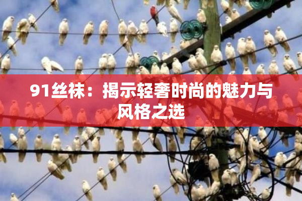 91丝袜：揭示轻奢时尚的魅力与风格之选