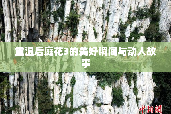 重温后庭花3的美好瞬间与动人故事