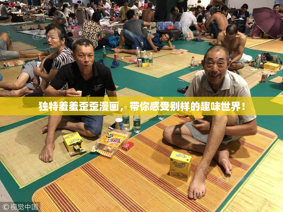 独特羞羞歪歪漫画，带你感受别样的趣味世界！