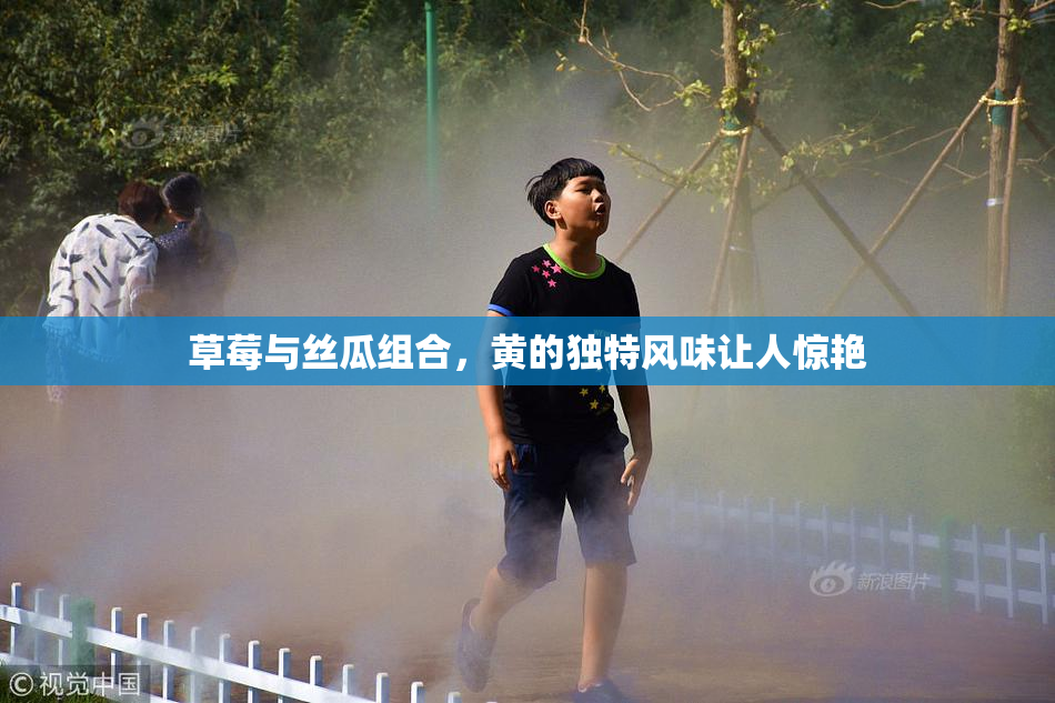 草莓与丝瓜组合，黄的独特风味让人惊艳