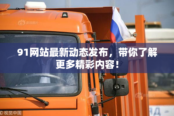 91网站最新动态发布，带你了解更多精彩内容！