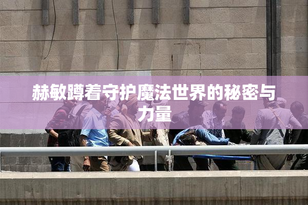 赫敏蹲着守护魔法世界的秘密与力量