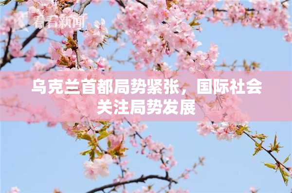 乌克兰首都局势紧张，国际社会关注局势发展