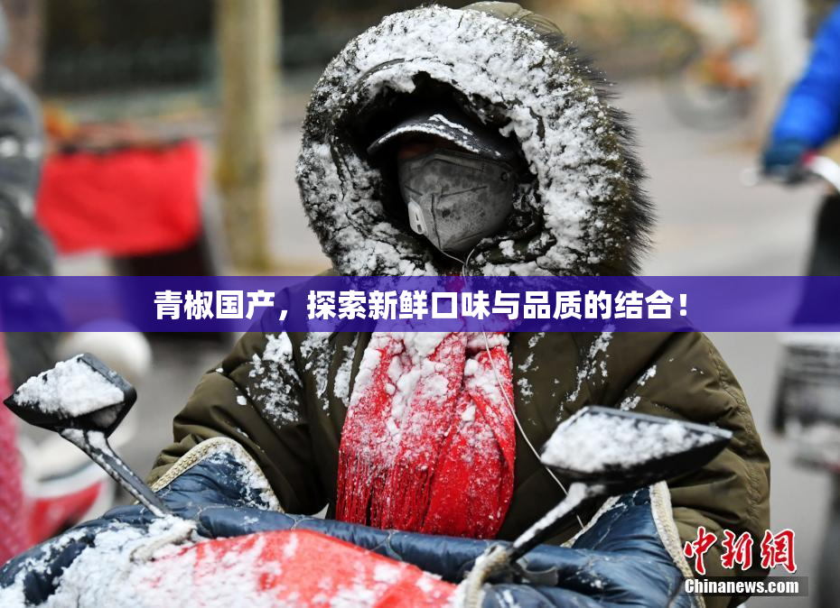 青椒国产，探索新鲜口味与品质的结合！