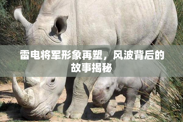 雷电将军形象再塑，风波背后的故事揭秘