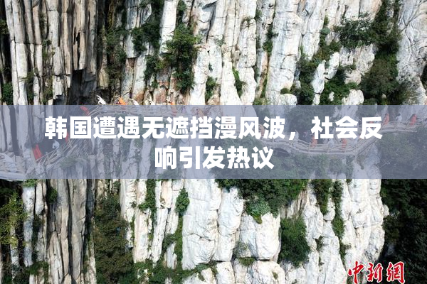 韩国遭遇无遮挡漫风波，社会反响引发热议