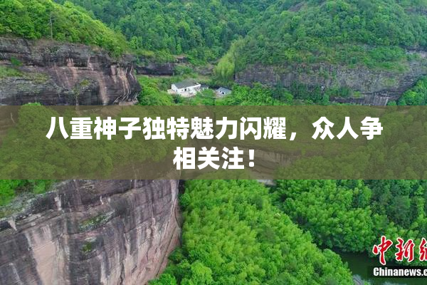 八重神子独特魅力闪耀，众人争相关注！