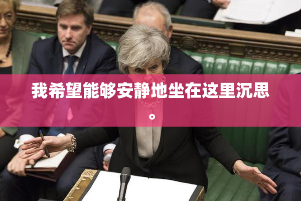 我希望能够安静地坐在这里沉思。