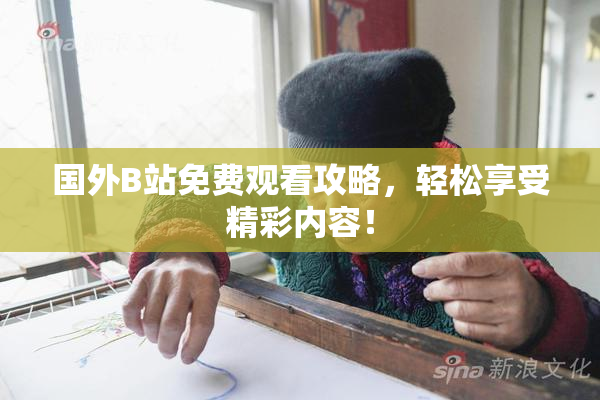 国外B站免费观看攻略，轻松享受精彩内容！