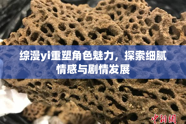 综漫yi重塑角色魅力，探索细腻情感与剧情发展