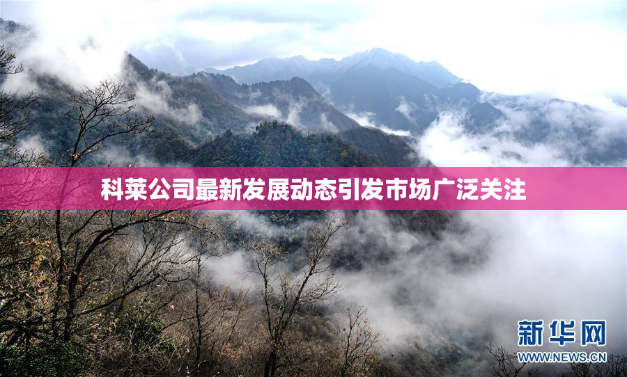 科莱公司最新发展动态引发市场广泛关注