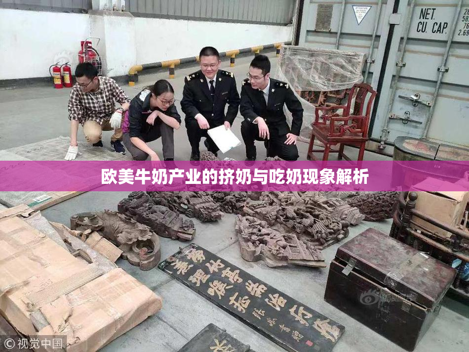 欧美牛奶产业的挤奶与吃奶现象解析