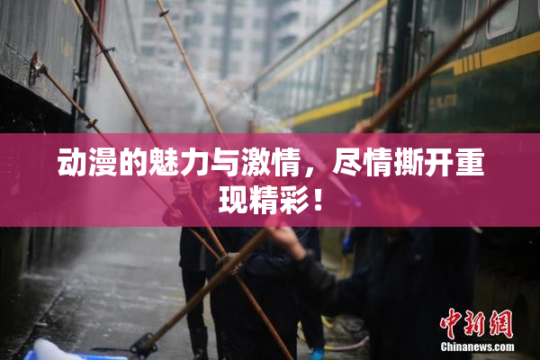 动漫的魅力与激情，尽情撕开重现精彩！