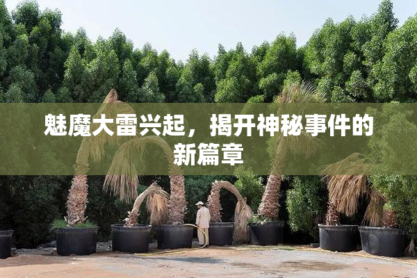 魅魔大雷兴起，揭开神秘事件的新篇章
