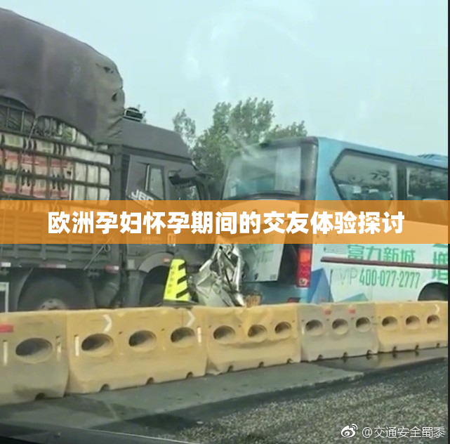 欧洲孕妇怀孕期间的交友体验探讨