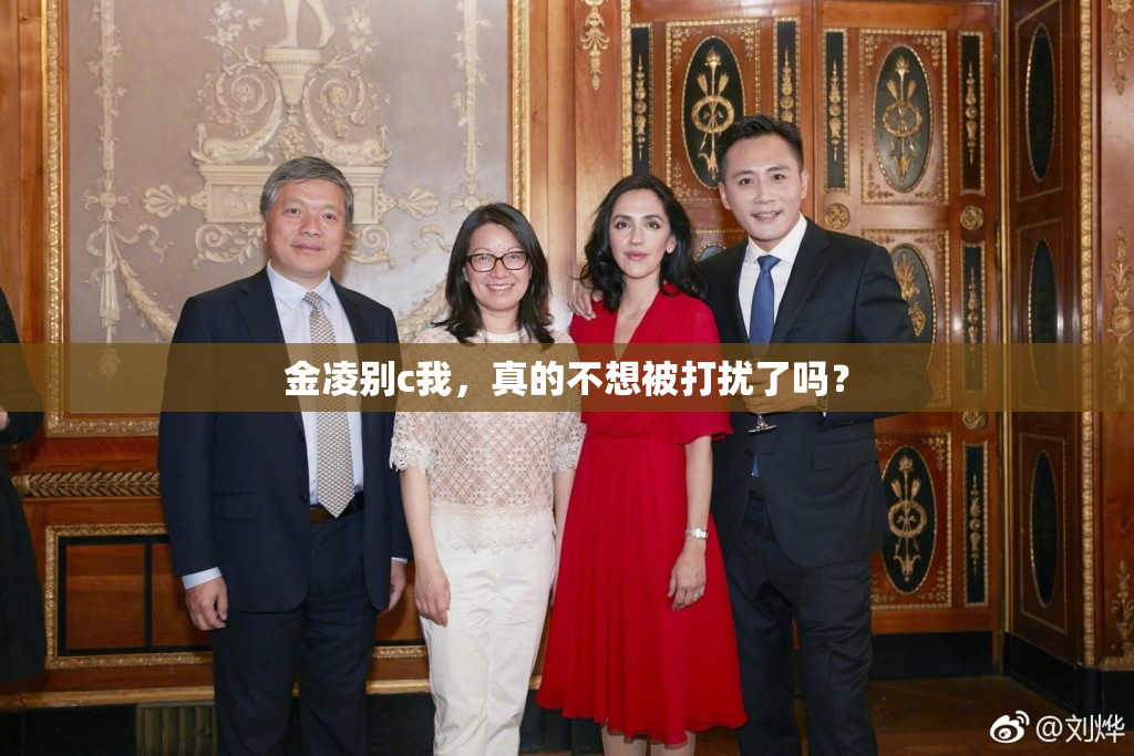 金凌别c我，真的不想被打扰了吗？