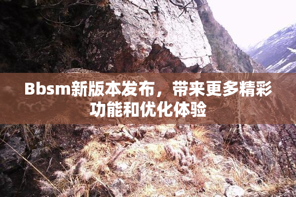 Bbsm新版本发布，带来更多精彩功能和优化体验