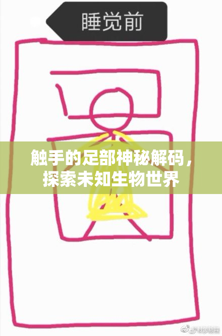 触手的足部神秘解码，探索未知生物世界