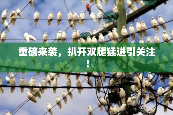 重磅来袭，扒开双腿猛进引关注！