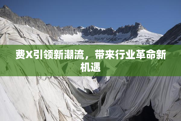 费X引领新潮流，带来行业革命新机遇