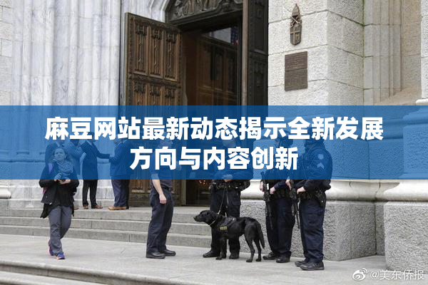 麻豆网站最新动态揭示全新发展方向与内容创新