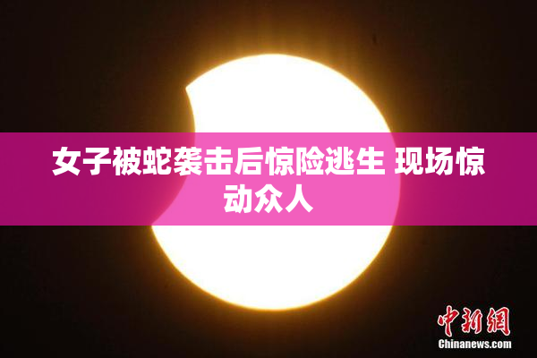 女子被蛇袭击后惊险逃生 现场惊动众人