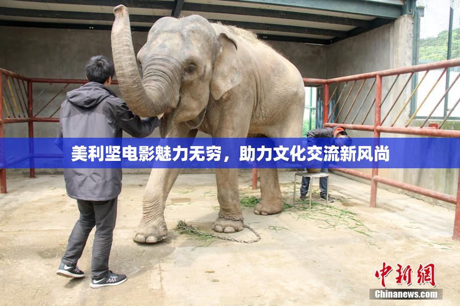 美利坚电影魅力无穷，助力文化交流新风尚
