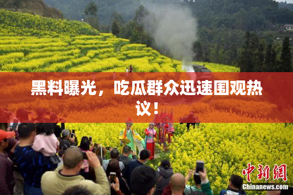 黑料曝光，吃瓜群众迅速围观热议！