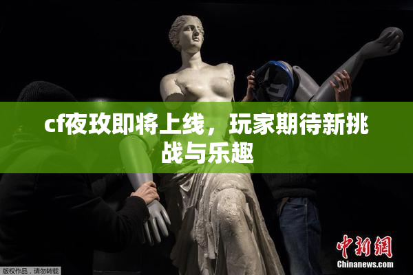 cf夜玫即将上线，玩家期待新挑战与乐趣