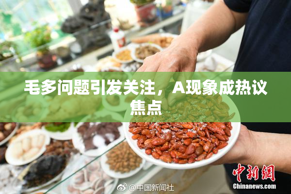 毛多问题引发关注，A现象成热议焦点