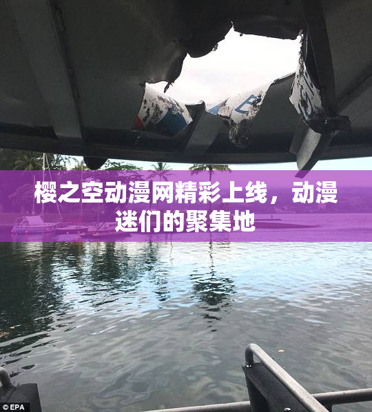 樱之空动漫网精彩上线，动漫迷们的聚集地